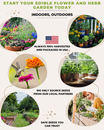 herb garden indoor outdoor