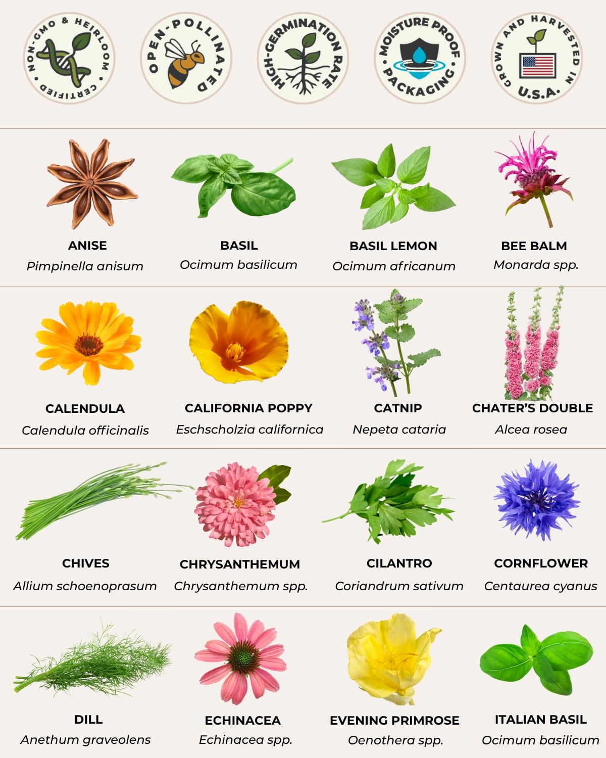 herb and flower seed varieties list