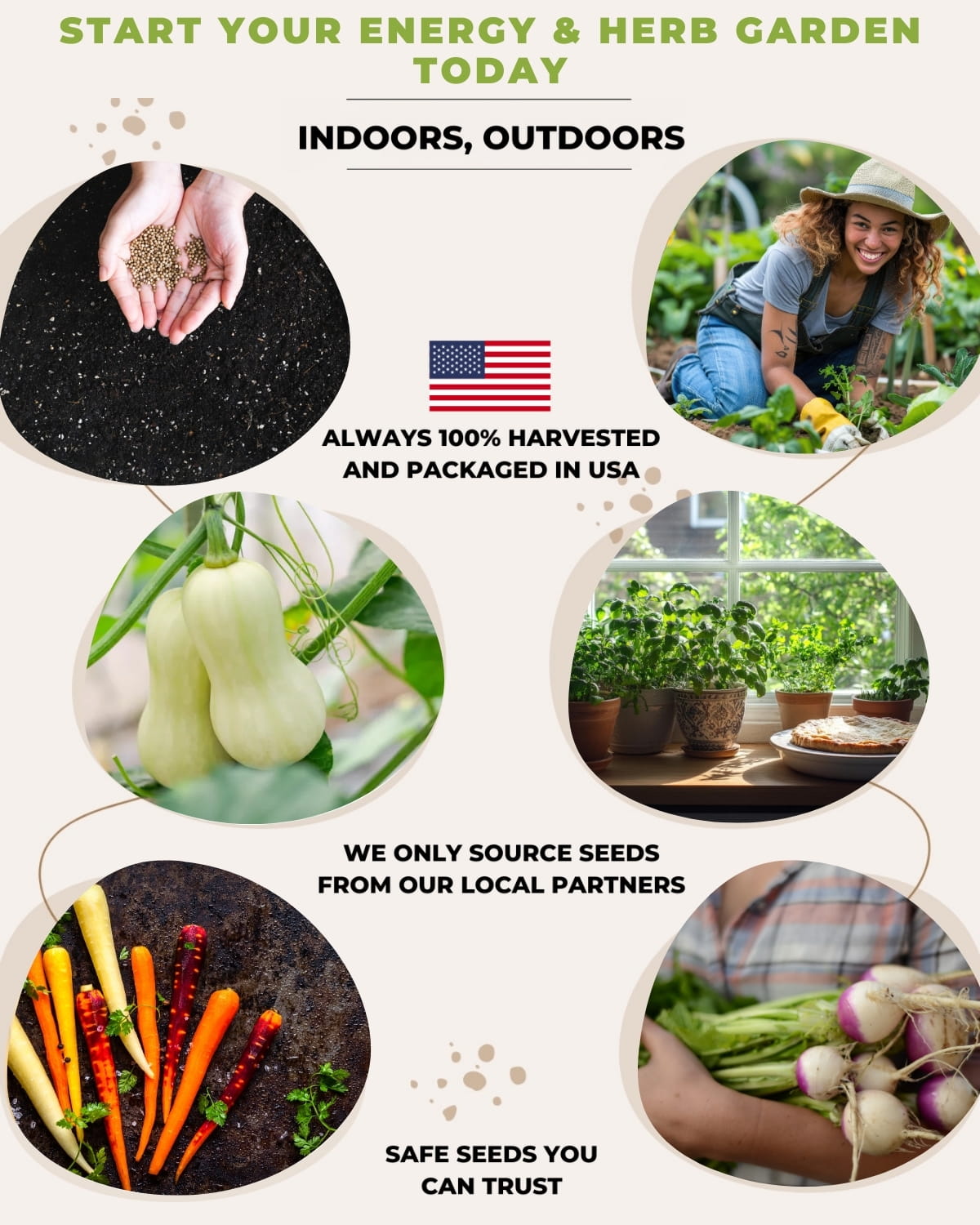 herb garden indoor outdoor growing