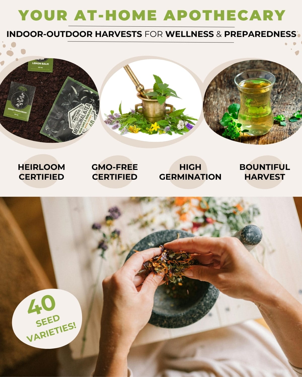 Herb seed kit for home apothecary garden
