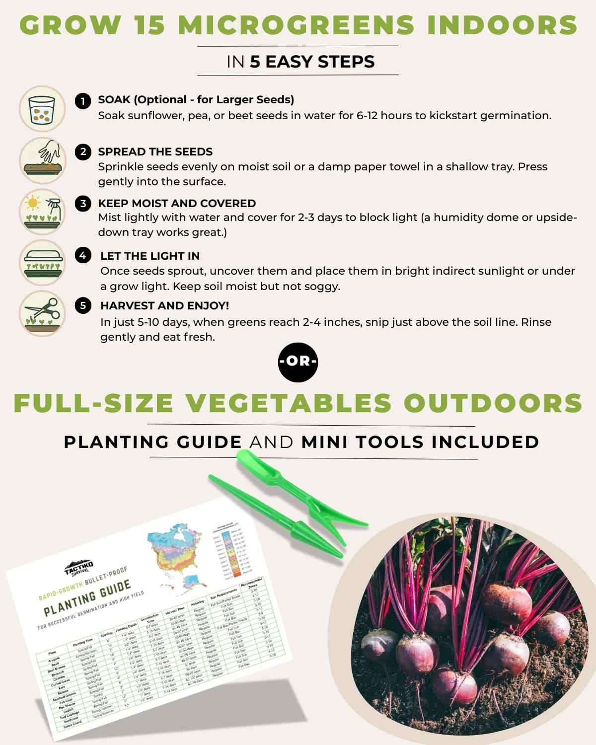 microgreens growing steps guide