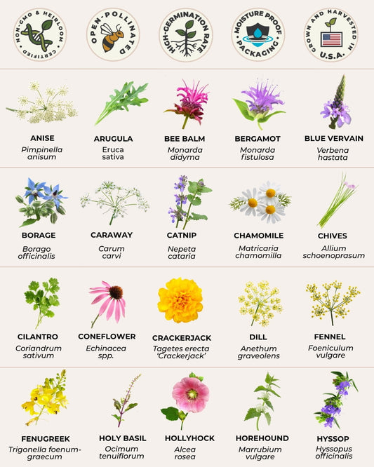 Pollinator herb seed mix plant varieties chart