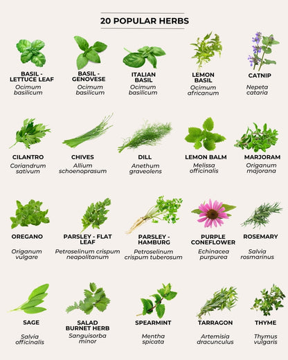herb varieties chart
