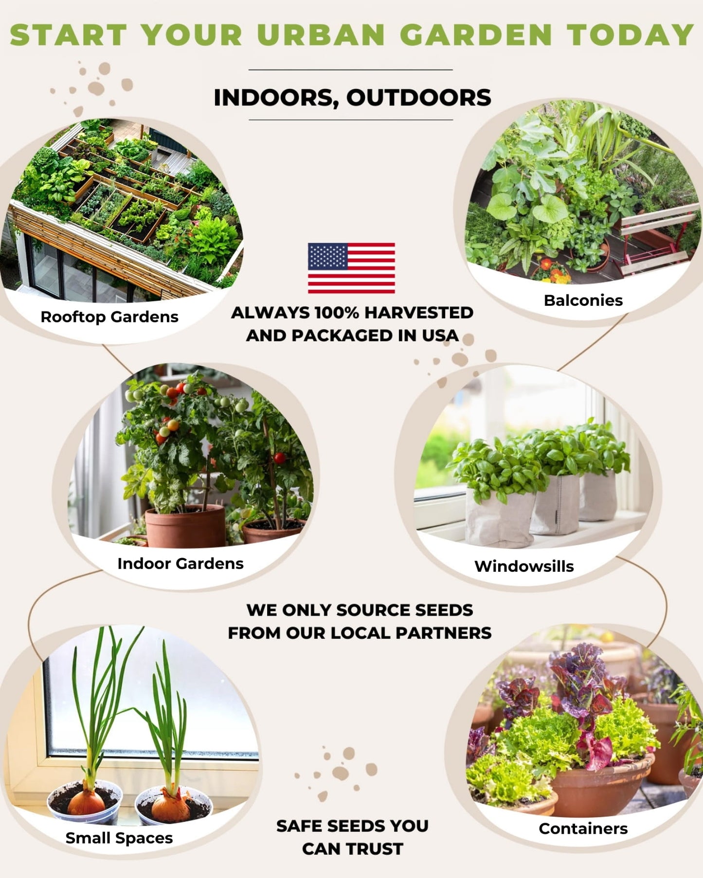 urban garden indoor outdoor planting