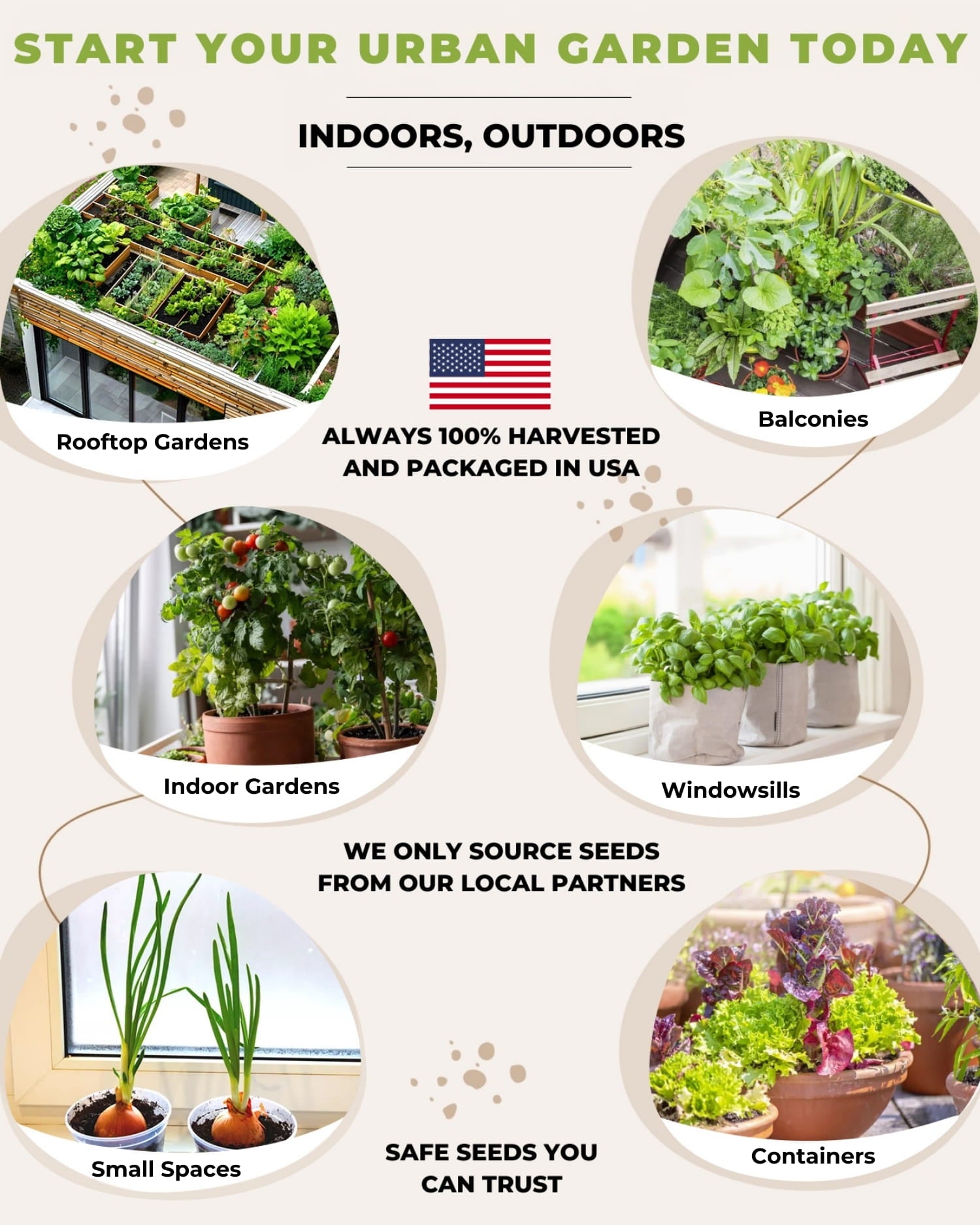 urban garden indoor outdoor planting