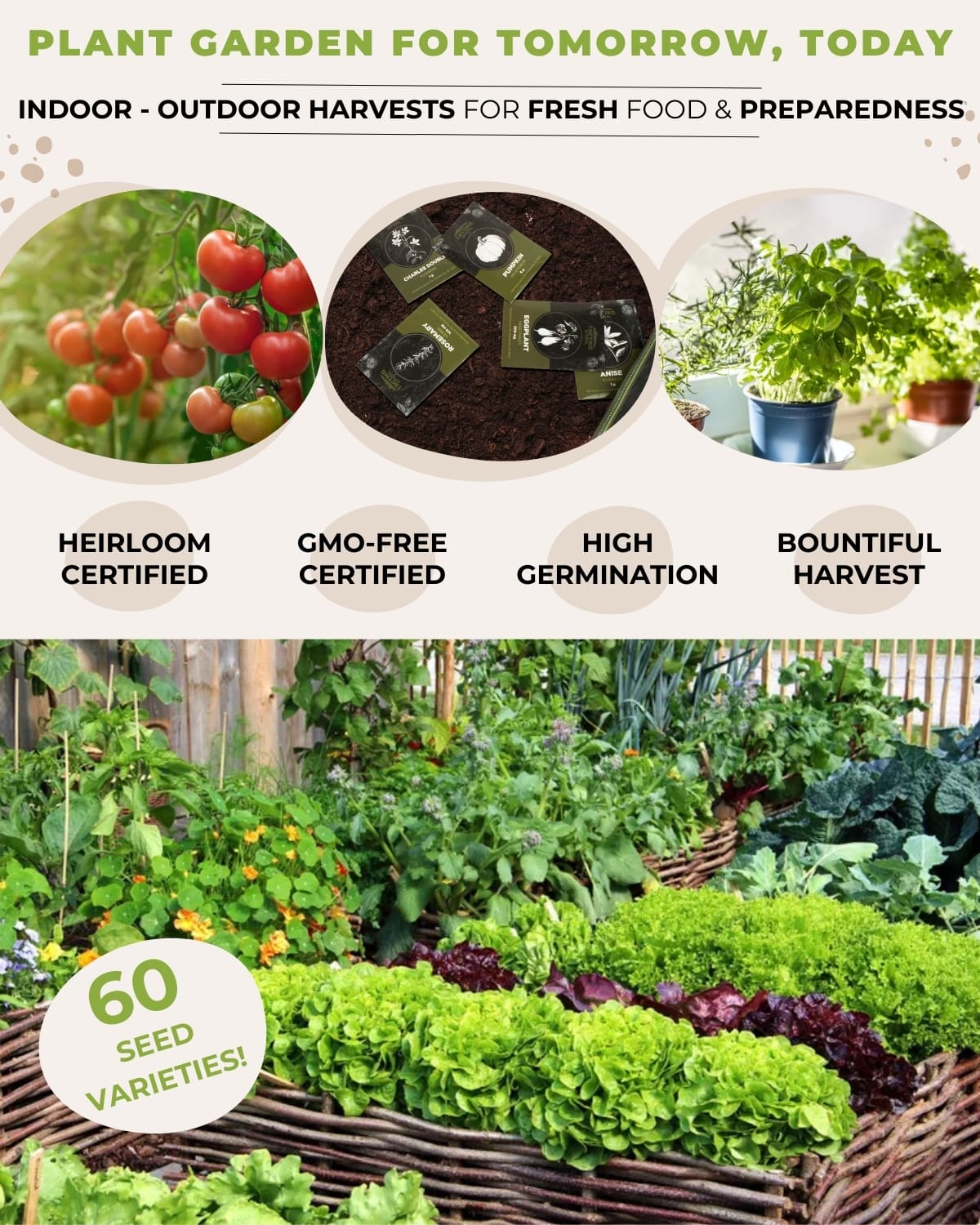 vegetable garden seed kit
