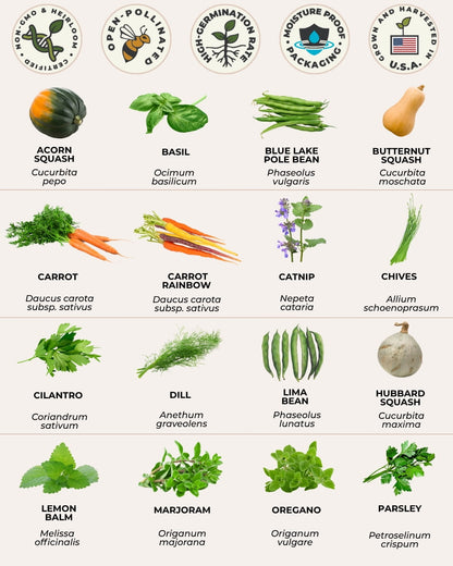 vegetable and herb seed chart