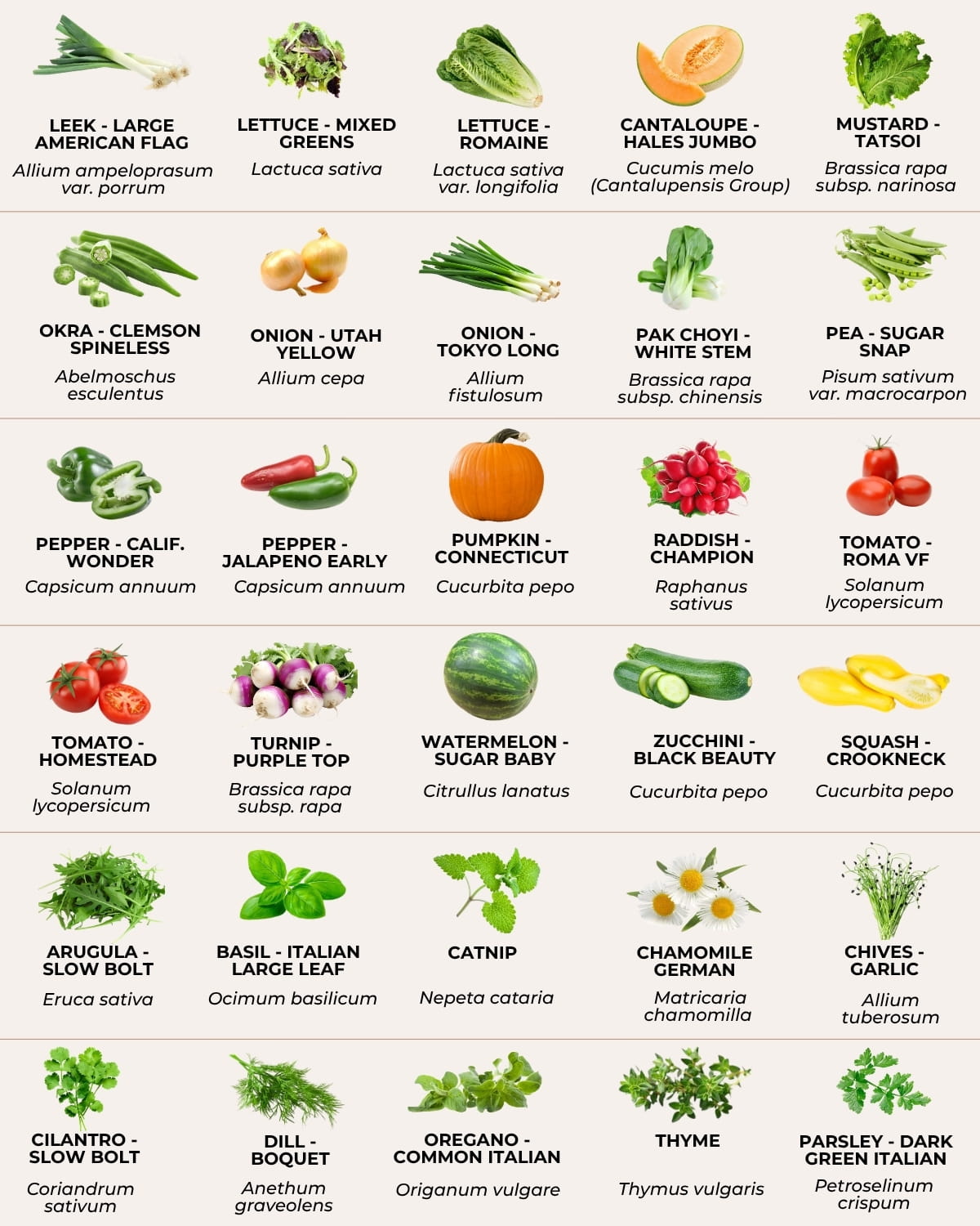 vegetable and herb seed varieties list