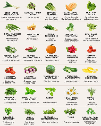 vegetable and herb seed varieties list