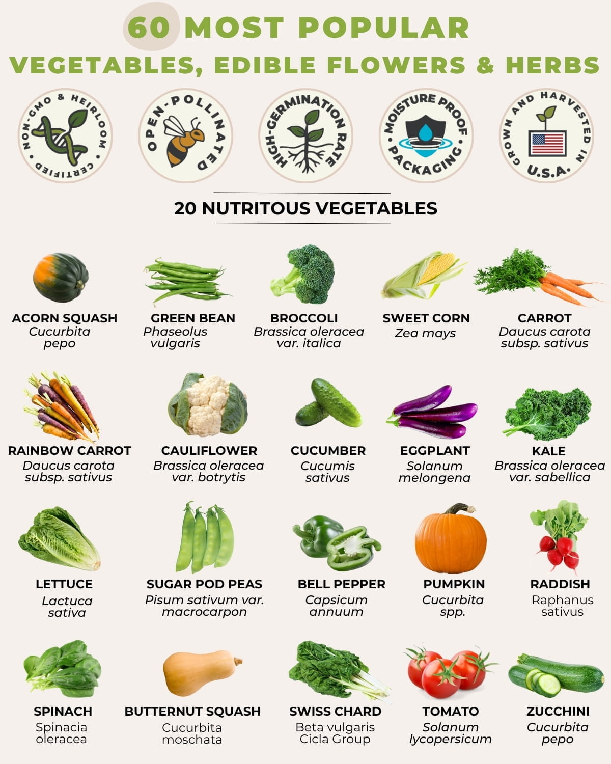 vegetable varieties chart