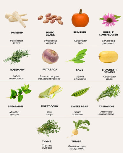vegetable seed varieties grid